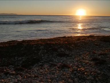 Photo from Pursuit of Happieness the movie showing the shoreline at sunset